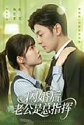 《闪婚后老公是总指挥》封面