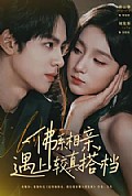 《佛系相亲,遇上较真搭档》封面