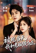 《被甩当天,我和老板领了证》封面