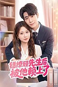 《错撩顾先生后被他赖上了》封面