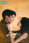 《旷野烈风》封面