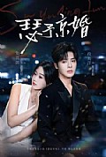 《瑟予京婚》封面