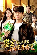 《鉴宝:从捡漏赌石开始飞黄腾达》封面
