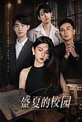 《盛夏的校园》封面