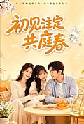 《初见注定共庭春》封面