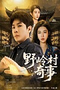 《野岭村奇事》封面