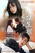 《凤鸣三生3:双生错》封面