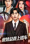 《傲娇总裁上错车》封面