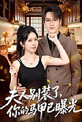 《夫人别装了,你的马甲已曝光》封面