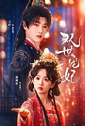 《双世宠妃》封面