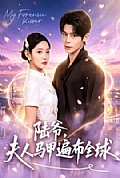 《陆爷,夫人马甲遍布全球》封面