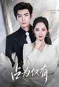 《占为仅有》封面