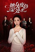 《她从夜色深处来》封面
