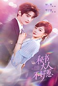 《秘书大人不好惹》封面