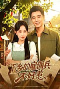 《下乡的雇佣兵不好惹》封面