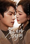 《爱在离婚冷静期》封面