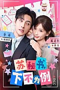 《苏秘书，下不为例》封面