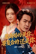 《要离婚的是你,要复合的还是你》封面