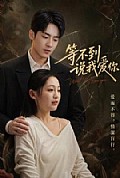 《等不到说我爱你》封面