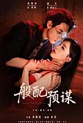 《般配预谋》封面