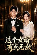 《这个女婿有点无敌》封面