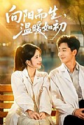 《向阳而生,温暖如初》封面