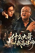 《什么大哥,叫我高律师》封面