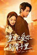 《重生之爱你到骨子里》封面