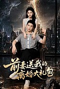 《前妻送我的离婚大礼包》封面