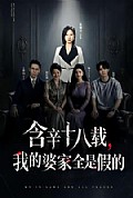 《含辛十八载,我的婆家全是假的》封面