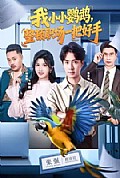 《我小小鹦鹉,整顿职场一把好手》封面