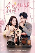 《今晚月光很美,茶香四溢》封面