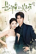 《是闪婚的关系呀》封面