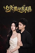 《七爷她又在装柔弱》封面