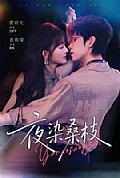 《夜染桑枝》封面