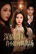 《深情错付,许小姐高调离场》封面