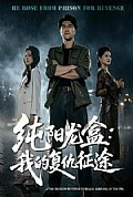 《纯阳龙盒:我的复仇征途》封面
