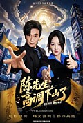 《陈先生高调下山了》封面