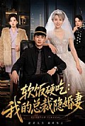 《软饭硬吃:我的总裁隐婚妻》封面