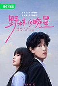 《野林向晚星》封面
