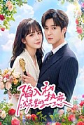 《陷入和沈先生的热恋》封面