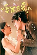 《雪落前爱你》封面