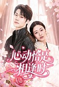 《心动恰是相逢时》封面