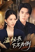 《温秘书,下不为例》封面