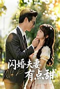 《闪婚夫妻有点甜》封面
