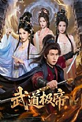 《武道极帝》封面