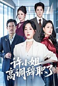 《许小姐高调辞职了》封面