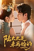 《陆太太是来离婚的之慵便枕玉凉》封面