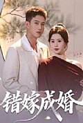 《错嫁成婚》封面