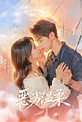 《恶劣温柔》封面